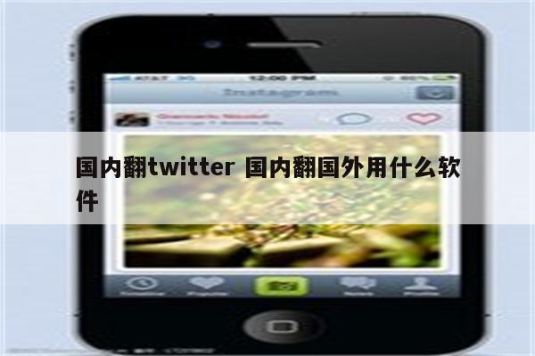 国内翻twitter 国内翻国外用什么软件