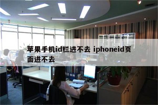 苹果手机id栏进不去 iphoneid页面进不去