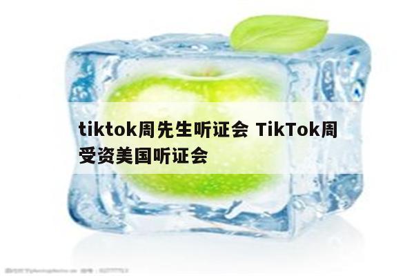 tiktok周先生听证会 TikTok周受资美国听证会