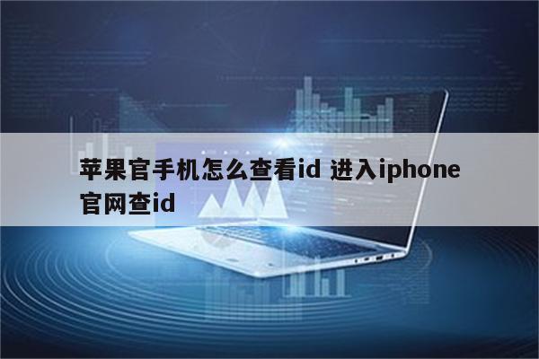 苹果官手机怎么查看id 进入iphone官网查id