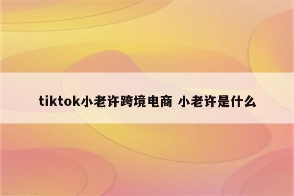 tiktok小老许跨境电商 小老许是什么