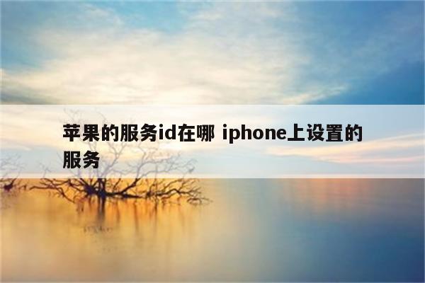 苹果的服务id在哪 iphone上设置的服务