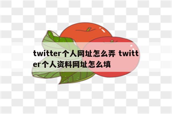 twitter个人网址怎么弄 twitter个人资料网址怎么填