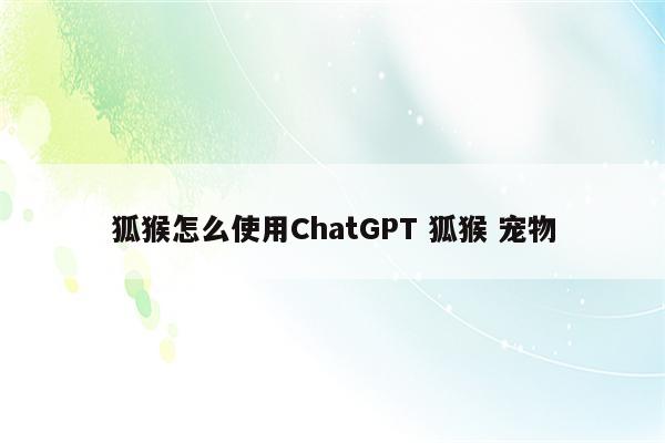 狐猴怎么使用ChatGPT 狐猴 宠物