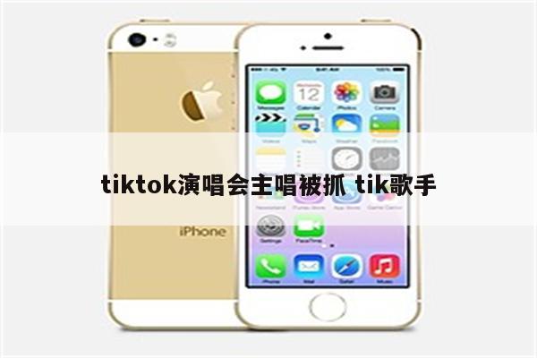 tiktok演唱会主唱被抓 tik歌手