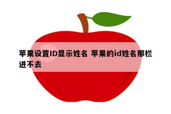 苹果设置ID显示姓名 苹果的id姓名那栏进不去