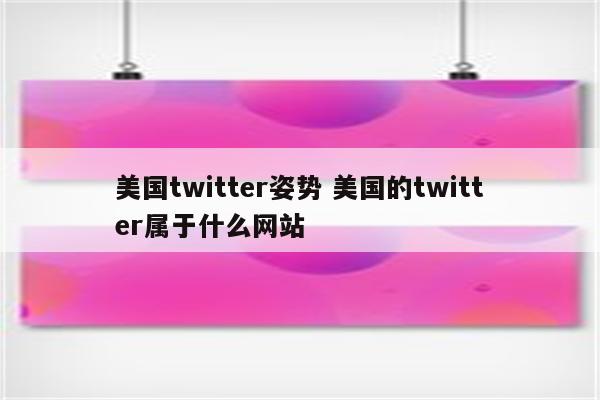 美国twitter姿势 美国的twitter属于什么网站