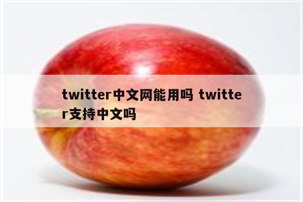 twitter中文网能用吗 twitter支持中文吗