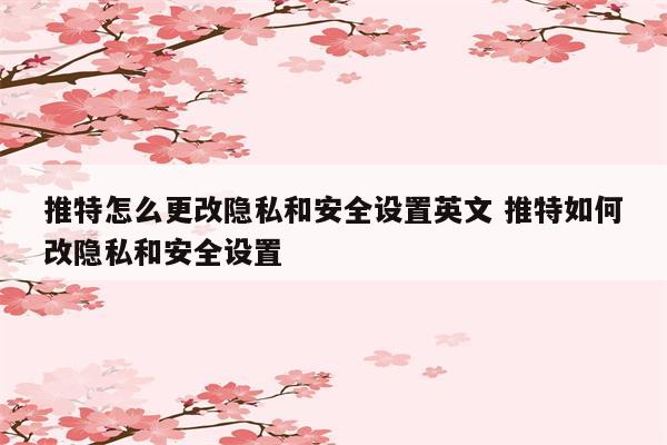 推特怎么更改隐私和安全设置英文 推特如何改隐私和安全设置