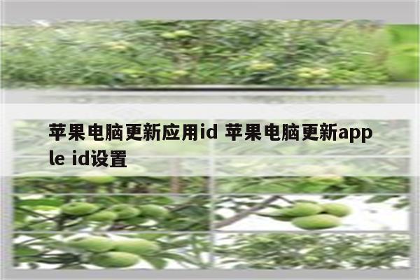 苹果电脑更新应用id 苹果电脑更新apple id设置