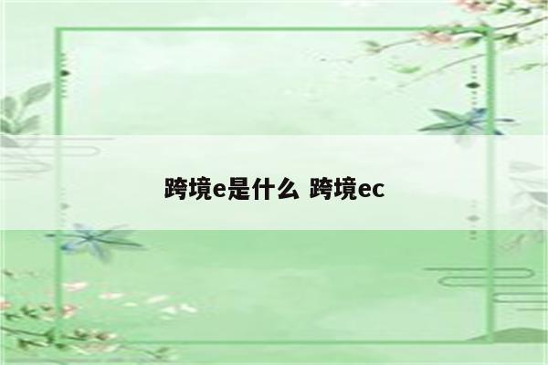 跨境e是什么 跨境ec