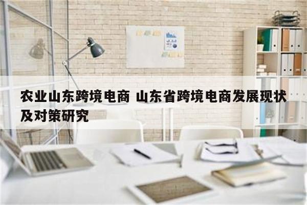 农业山东跨境电商 山东省跨境电商发展现状及对策研究