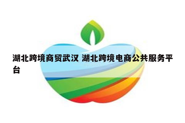 湖北跨境商贸武汉 湖北跨境电商公共服务平台