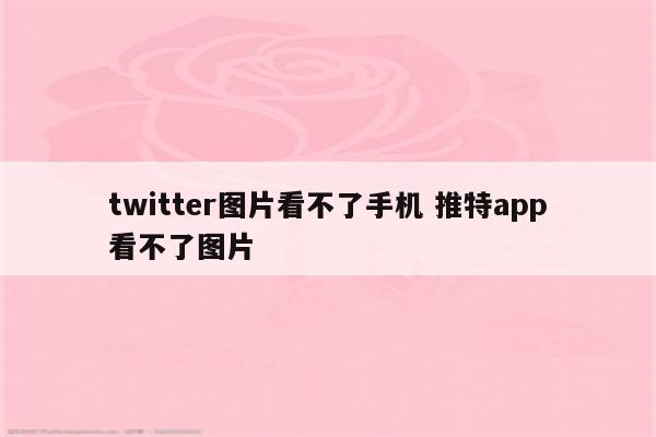 twitter图片看不了手机 推特app看不了图片