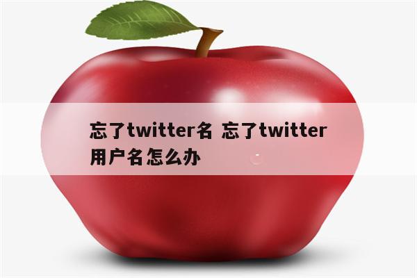 忘了twitter名 忘了twitter用户名怎么办