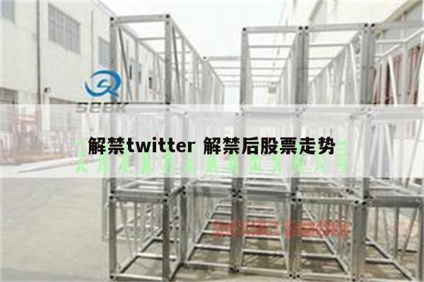 解禁twitter 解禁后股票走势