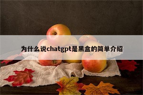 为什么说chatgpt是黑盒的简单介绍