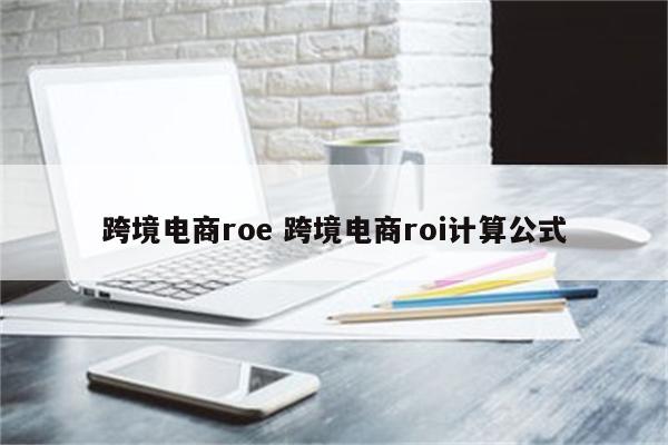 跨境电商roe 跨境电商roi计算公式