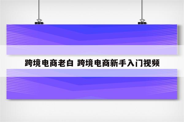 跨境电商老白 跨境电商新手入门视频