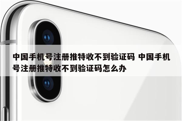 中国手机号注册推特收不到验证码 中国手机号注册推特收不到验证码怎么办