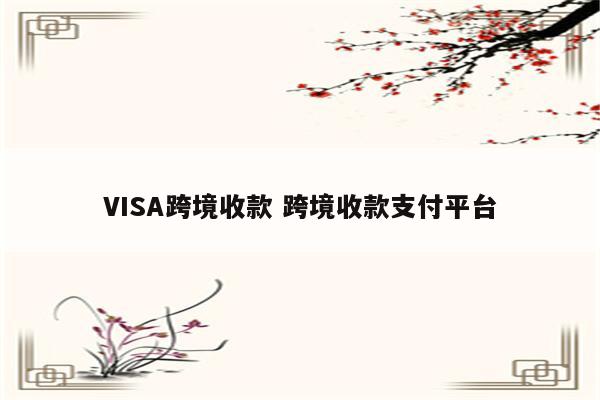 VISA跨境收款 跨境收款支付平台