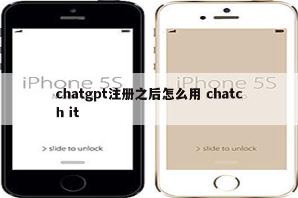 chatgpt注册之后怎么用 chatch it