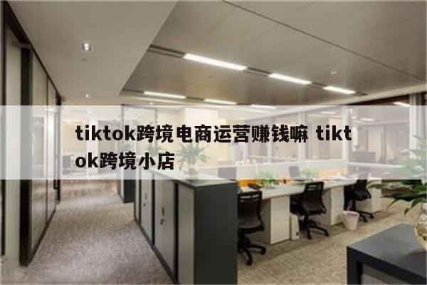 tiktok跨境电商运营赚钱嘛 tiktok跨境小店