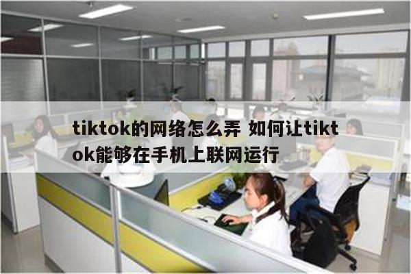 tiktok的网络怎么弄 如何让tiktok能够在手机上联网运行