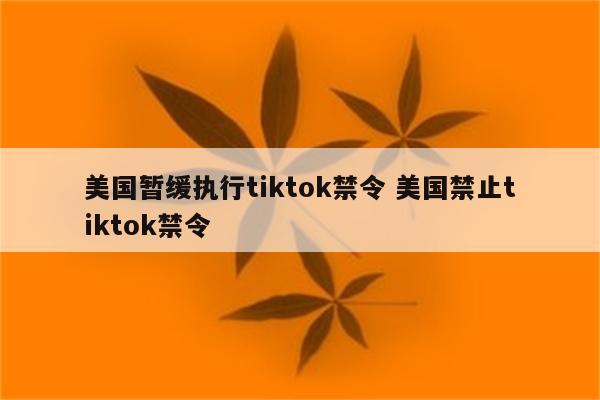 美国暂缓执行tiktok禁令 美国禁止tiktok禁令