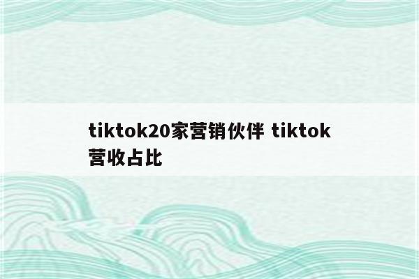 tiktok20家营销伙伴 tiktok营收占比