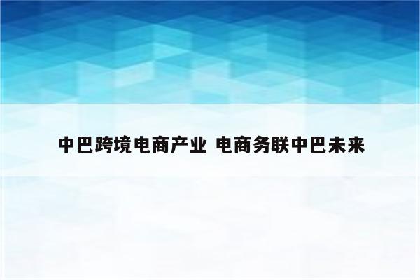 中巴跨境电商产业 电商务联中巴未来