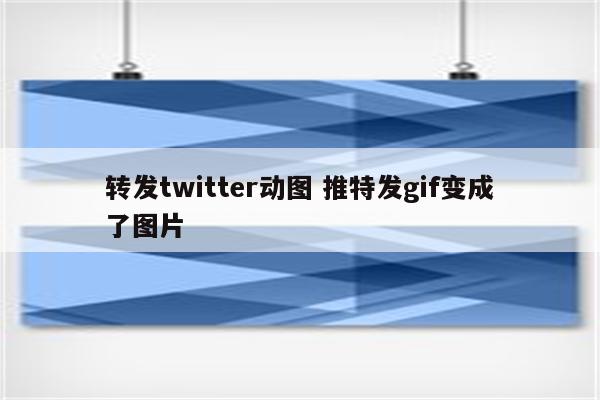 转发twitter动图 推特发gif变成了图片