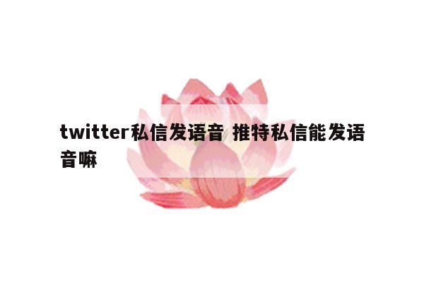 twitter私信发语音 推特私信能发语音嘛