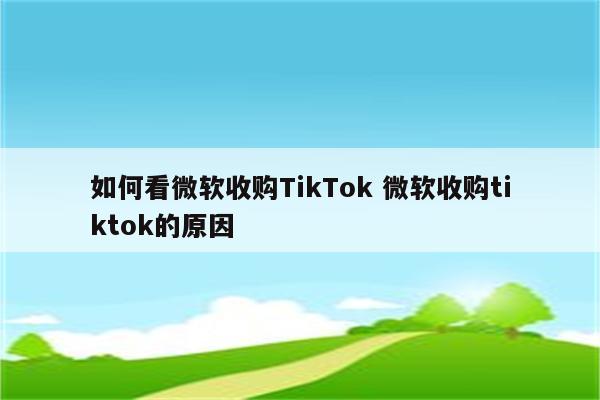 如何看微软收购TikTok 微软收购tiktok的原因