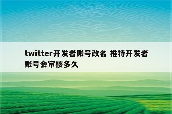 twitter开发者账号改名 推特开发者账号会审核多久