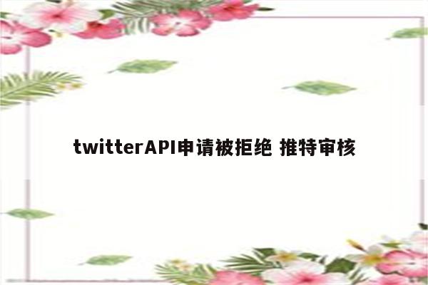 twitterAPI申请被拒绝 推特审核