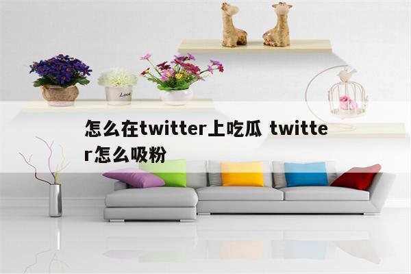 怎么在twitter上吃瓜 twitter怎么吸粉