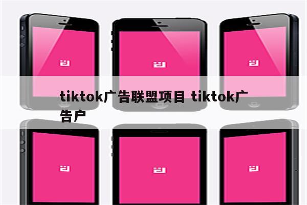 tiktok广告联盟项目 tiktok广告户