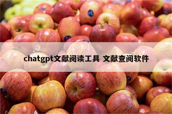 chatgpt文献阅读工具 文献查阅软件