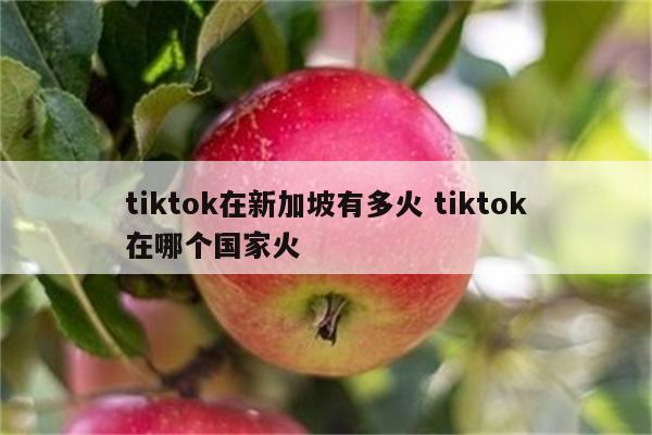 tiktok在新加坡有多火 tiktok在哪个国家火