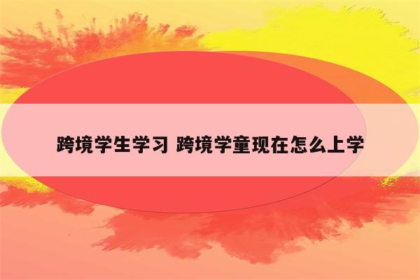 跨境学生学习 跨境学童现在怎么上学