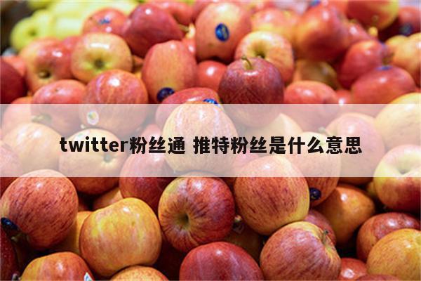 twitter粉丝通 推特粉丝是什么意思