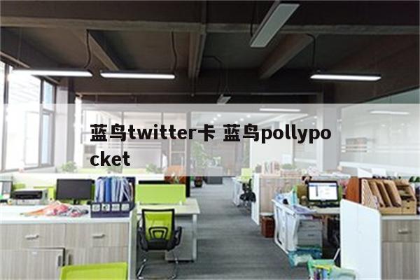 蓝鸟twitter卡 蓝鸟pollypocket