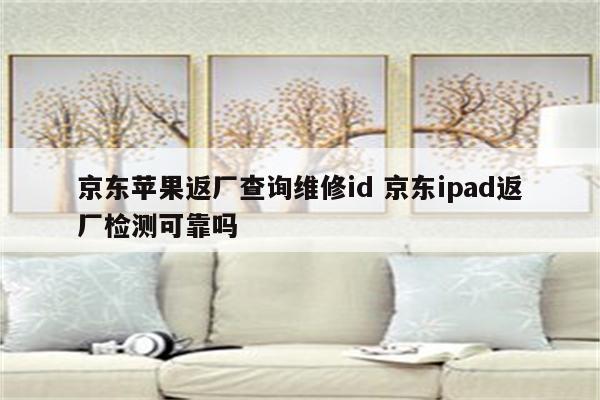 京东苹果返厂查询维修id 京东ipad返厂检测可靠吗