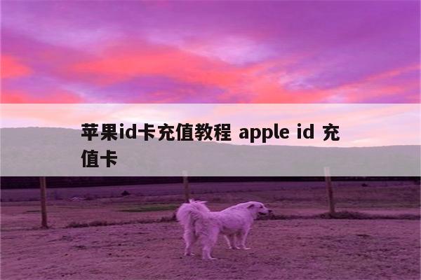 苹果id卡充值教程 apple id 充值卡