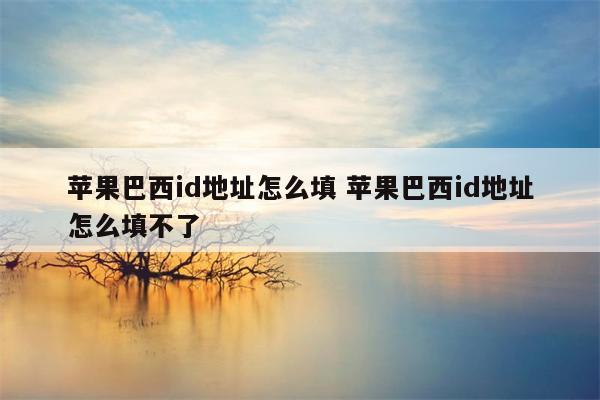 苹果巴西id地址怎么填 苹果巴西id地址怎么填不了