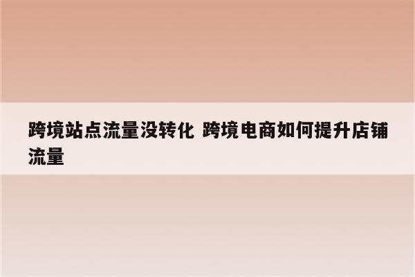 跨境站点流量没转化 跨境电商如何提升店铺流量