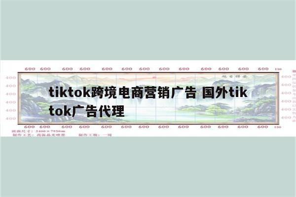 tiktok跨境电商营销广告 国外tiktok广告代理