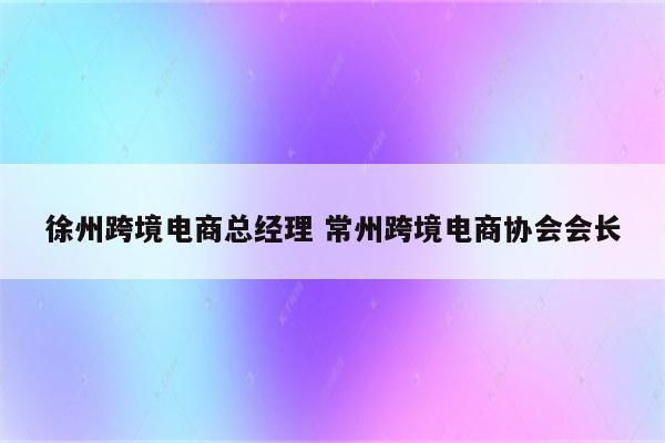 徐州跨境电商总经理 常州跨境电商协会会长