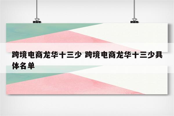 跨境电商龙华十三少 跨境电商龙华十三少具体名单